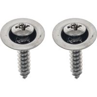 1983-02 REAR LICENSE LAMP SCREWS PAIR