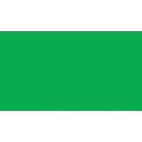 1969 CAMARO CENTER DASH LAMP GREEN LENS