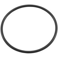 PRO FILTER 2" x 5.5" BODY O-RING REPLACEMENT 66-2044