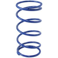 Replacement Outer Springs Blue 5 PSI (0.34 bar)