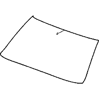Windshield