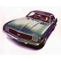 Windshield