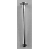Borgpen
