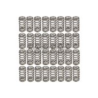 ENG VALVE SPRING KIT