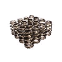 ENG VALVE SPRING KIT