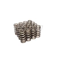 ENG VALVE SPRING KIT