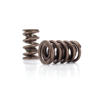 ENG VALVE SPRING KIT
