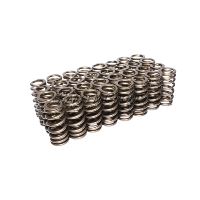 ENG VALVE SPRING KIT