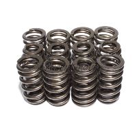 ENG VALVE SPRING KIT