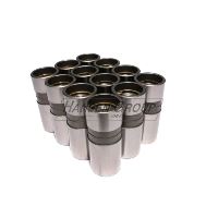 ENG VALVE LIFTER KIT