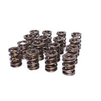 ENG VALVE SPRING KIT