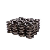 ENG VALVE SPRING KIT