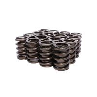 ENG VALVE SPRING KIT