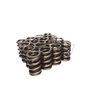 ENG VALVE SPRING KIT