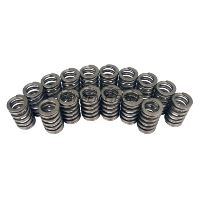 ENG VALVE SPRING KIT