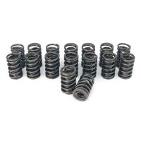 Engine Valve Spring