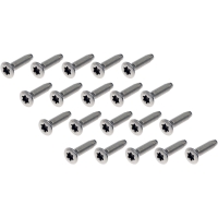 Door Hinge Screws