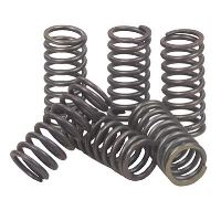 Clutch Spring Kit (6Pcs Per Set)