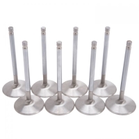 INTAKE VALVE