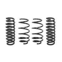 Pro-Kit Polestar 2 (V)