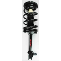 Suspension Strut and Coil Spring Assembly