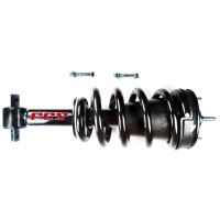 Suspension Strut and Coil Spring Assembly
