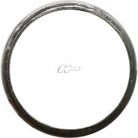 Exhaust Pipe Gasket