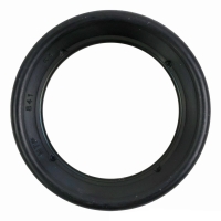 VVT-solenoid packning