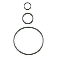 O-ringenset