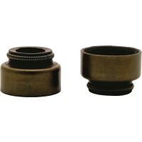 Valve Stem Seal Set