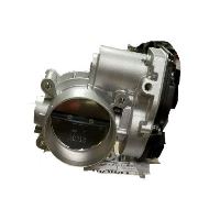 Throttle body and motor assembly
