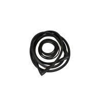 Windshield seal