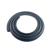 Door seal front on body