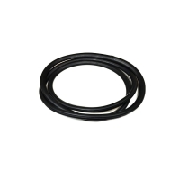 Windshield seal