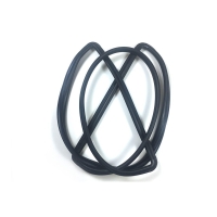 Windshield seal