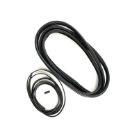 Windshield seal w/ lockstrip