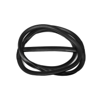 Windshield seal