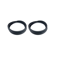 Door seal on body, 2 pc kit, rear