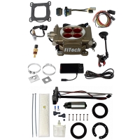 Go Street 400 HP Cast EFI System With Go Fuel 255 LPH In-Tan