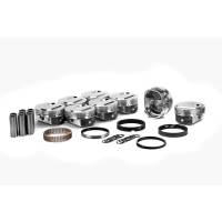 Jeu de pistons avec segments