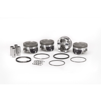 Zuiger set met ringen