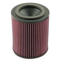 Replacement Air Filter