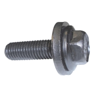 Camshaft Bolt