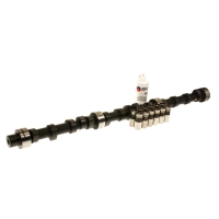 Camshaft and Lifter Kit