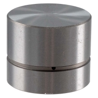 Valve Lifter