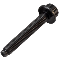 Camshaft Bolt