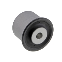 Radius Arm Bushing