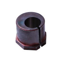 Alignment Caster / Camber Bushing