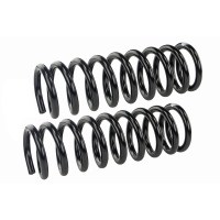 Coil Spring Set