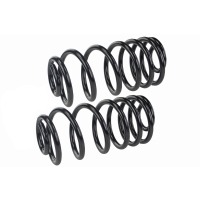 Coil Spring Set